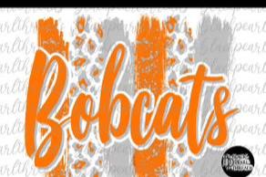 Bobcats Travel Mug